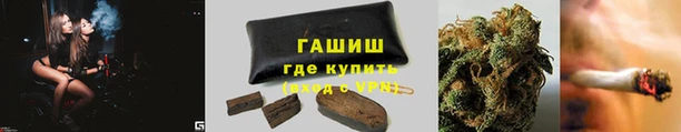стаф Надым