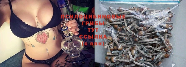 стаф Надым