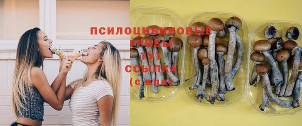 дурь Наволоки