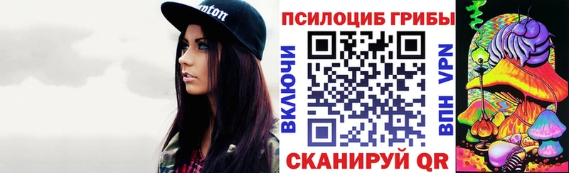 магазин площадка состав Галлюциногенные грибы GOLDEN TEACHER Подпорожье